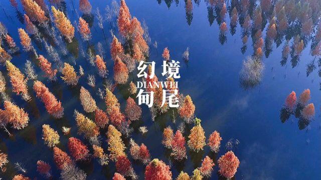 门德斯：我是葡萄牙俱乐部的消防员，他们赚的钱都是我们的功劳